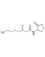 N-(3-Oxooctanoyl)-DL-homoserine lactone