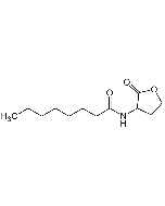 N-Octanyol-DL-homoserine lactone