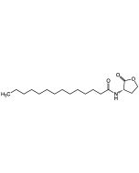 N-Tetradecanoyl-L-homoserine lactone