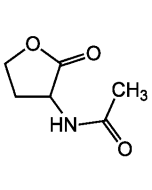 N-Ethanoyl-DL-homoserine lactone