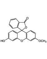 3'-O-Methylfluorescein