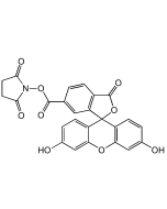 6-FAM N-succinimidyl ester