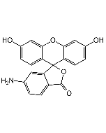 6-Aminofluorescein