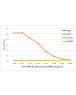 An ELISA of Helicobacter Pylori proteins using Anti-OMP Rabbit Monoclonal Antibody Clone RM410. The plate was coated with 1 ug/mL of CagA, OMP, Urease, or HP-NAP of H. Pylori. A serial dilution of RM410 was used as the primary antibody. An alkaline phosph