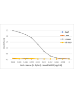 An ELISA of Helicobacter Pylori proteins using Anti-OMP Rabbit Monoclonal Antibody Clone RM411. The plate was coated with 1 ug/mL of CagA, OMP, Urease, or HP-NAP of H. Pylori. A serial dilution of RM411 was used as the primary antibody. An alkaline phosph