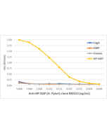 An ELISA of Helicobacter Pylori proteins using Anti-Urease Rabbit Monoclonal Antibody Clone RM412. The plate was coated with 1 ug/mL of CagA, OMP, Urease, or HP-NAP of H. Pylori. A serial dilution of RM412 was used as the primary antibody. An alkaline pho