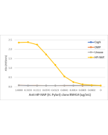 An ELISA of Helicobacter Pylori proteins using Anti-HP-NAP Rabbit Monoclonal Antibody Clone RM413. The plate was coated with 1 ug/mL of CagA, OMP, Urease, or HP-NAP of H. Pylori. A serial dilution of RM413 was used as the primary antibody. An alkaline pho