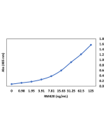 anti-SARS-CoV-2 Nucleocapsid, Rabbit Monoclonal (RM420)