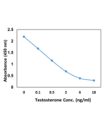 anti-Progesterone, Rabbit Monoclonal (RM434)