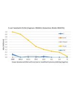 5-Carboxylcytosine (5-caC) DNA Matched Antibody Pair