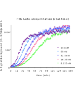 ITCH E3 Ligase TR-FRET Kit