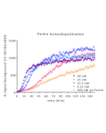 Parkin E3 Ligase TR-FRET Kit