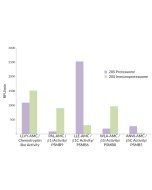 20S Immunoproteasome (mouse) (untagged)