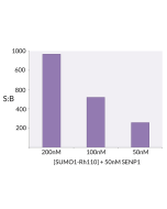 <b>Signal to Background:</b> The signal to background ratio was determined by 100% hydrolysis of 200nM, 100nM, 50nM SUMO1-Rhodamine 110 to liberate the quenched conjugate. Assay Buffer: 50mM HEPES pH 7.5, 1mM TCEP, 0.1mg/ml BSA.