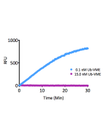 <b>Kinetic Activity:</b> UCHL3 (SBB-DE0023) activity with Ubiquitin-AMC (SBB-PS0043) measured in the presence of 15.0nM and 0.1nM Ubiquitin vinyl methyl ester (SBB-PS0033).