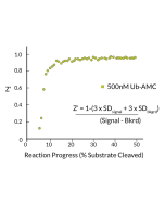 Ubiquitin-AMC (human) (rec.) (untagged)