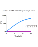 HA-Ubiquitin-vinyl sulfone (human) (rec.) (HA)