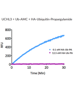 HA-Ubiquitin-propargylamide (human) (rec.) (HA)