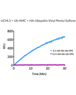 HA-Ubiquitin-vinyl pentyl sulfone (human) (rec.) (HA)