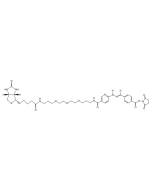 ChromaLink Biotin (DMF Soluble)