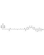 Sulfo ChromaLink Biotin (Water Soluble)