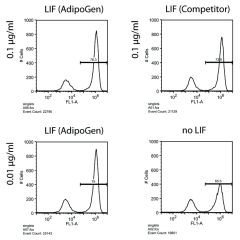 <b>Figure:</b> Human Leukemia Inhibitory Factor (LIF) (rec.) (AG-40B-0093) maintains pluripotency of mouse ES cells. <br /><b>Method:</b> Mouse ES oct4 GFP cells were cultured for 3 days in the presence of the indicated concentrations of LIF and followed 