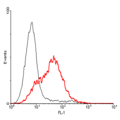 FACS: Con A-activated human T lymphocytes stained significantly using anti-GITR (human), mAb (AIT 158D) (Prod. No. AG-20A-0017).
