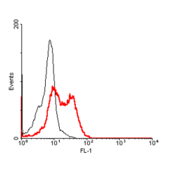 FACS: Human CD137L-transfected HEK 293 cells were stained significantly using anti-CD137L (human), mAb (41B436) (Prod. No. AG-20A-0031). No binding was detected on empty vector transfected cells.