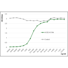 anti-ACE2 (human), mAb (blocking) (AC384) (preservative free)