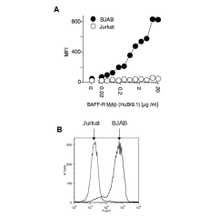 Detection of endogenous human BAFF-R with anti-BAFF-R (human), mAb (HuBR9.1) (AG-20B-0016).<br />
BJAB and Jurkat cells were stained with A) 20 &mu;g /ml (and 2-fold dilutions) and B) 2&mu;g /ml of anti-BAFF-R (human), mAb (HuBR9.1) in 50 &mu;l FACS buffe
