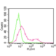 FACS: HepG2 cells were stained significantly using anti-ACE2 (human), mAb (AC18F) (Prod. No. AG-20A-0032).