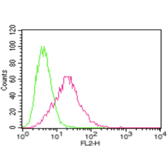 FACS: HepG2 cells were stained significantly using anti-ACE2 (human), mAb (AC18F) (Biotin) (Prod. No. AG-20A-0032B).