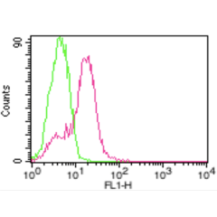 anti-ACE2 (human), mAb (AC18F) (ATTO 488)