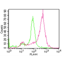 anti-ACE2 (human), mAb (AC18F) (ATTO 647N)