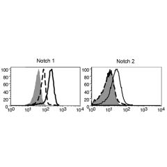 Detection of endogenous mouse Notch 1 or Notch 2 on resting and activated T cells with anti-Notch1 (mouse), mAb (22E5) (Prod. No. AG-20B-0051) and anti-Notch2, mAb (16F11) (Prod. No. AG-20B-0052), respectively. <b>Method:</b> CD4+ T cells from C57BL/6 mic