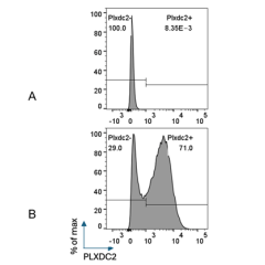 Detection of mouse PLXDC2 with anti-PLXDC2, mAb (Bonny-2) (Prod. No. AG-20B-0089).<br/><b>Method:</b> 3x10^6 C1498 lymphoblasts (A) or transduced with mouse PLXDC2 (B) are blocked with FcR Mouse Blocker for 10 min at RT, then stained with anti-PLXDC2, mAb