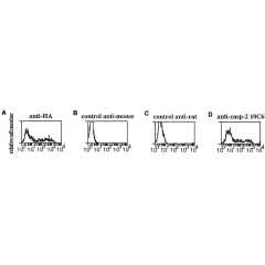 Flow cytometry data of 293T cells transiently transfected with HA-tagged caspase-2, fixed with 1% PFA, permeabilized with saponin and stained intracellularly with using anti-caspase-2, mAb (10C6) (Prod. No. AG-20T-0135) or positive control anti-HA.