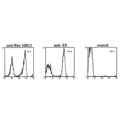 Flow cytometry data in permeabilized and fixed transfected cells using anti-Bim, mAb (10B12) (Prod. No. AG-20T-0143), anti-EE (positive control) or secondary antibody alone (negative control). Staining was visualised by FITC-conjugated goat anti-rat or an