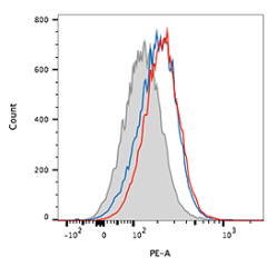 Detection of endogenous mouse LRP5/6 using anti-LRP5/6, mAb (rec.) (Heldy-1-4) (Prod. No. AG-27B-0019). <strong>Method:</strong> B16 melanoma mouse cells were stained with anti-LRP5/6, mAb (rec.) (Heldy-1-4) (blue and red lines) (1/100 in PBS + 2% FCS) or