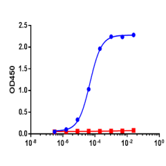 anti-SARS-CoV-2 N Protein, mAb (rec.) (Capsi-1) (preservative free)