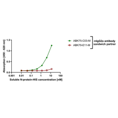 anti-SARS-CoV-2 N Protein, mAb (rec.) (AB75-C03)