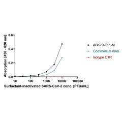 anti-SARS-CoV-2 N Protein, mAb (rec.) (AB79-E11) (Fc Mouse)