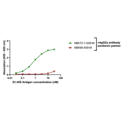 anti-SARS-CoV-2 Spike Protein S1 (NTD), mAb (rec.) (AB72-1-G09)