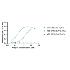 anti-SARS-CoV-2 Spike Protein S1 (NTD), mAb (rec.) (AB72-1-H10)