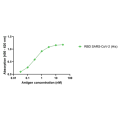 anti-SARS-CoV-2 Spike Protein S1 (RBD), mAb (rec.) (AB65-3-G12)