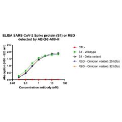 anti-SARS-CoV-2 Spike Protein S1 (RBD), mAb (rec.) (AB68-A09) (Fc Human)