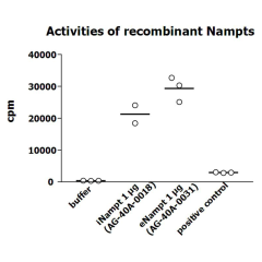 Measurement of NAMPT enzymatic activity was performed as described previously [G.C. Elliott, et al.; Anal Biochem 107, 199 (1980)]. The recombinant Nampt was diluted in assay buffer and 10&mu;l per 50&mu;l reaction mix were applied in the reaction mix (20