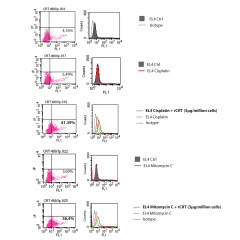 <strong>Flow cytometric analysis of CRT on the cell surface</strong> <div>3.10<sup>5</sup> EL4 Thymoma cells, growing in suspension in RPMI 1640 (Gibco) supplemented medium were plated in 12-well plates and treated with mitomycin C (30mM, Sanofi Aventis) 