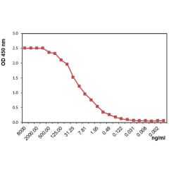 RANKL, Soluble (human) (rec.)