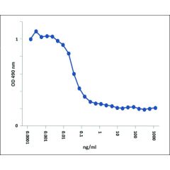 Coomassie blue staining of BAFF, Soluble (human) (60-mer) (AG-40B-0112) under reducing conditions (shows the size of the monomer).